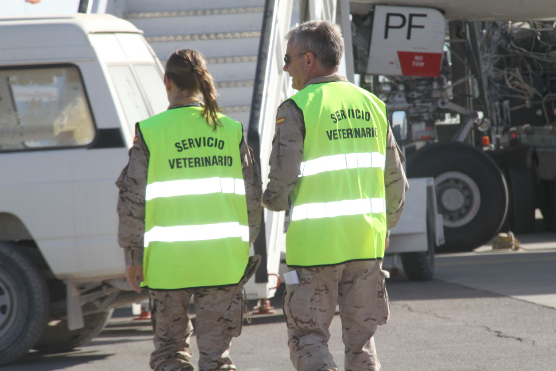 El veterinario militar vela por la salud de los soldados españoles