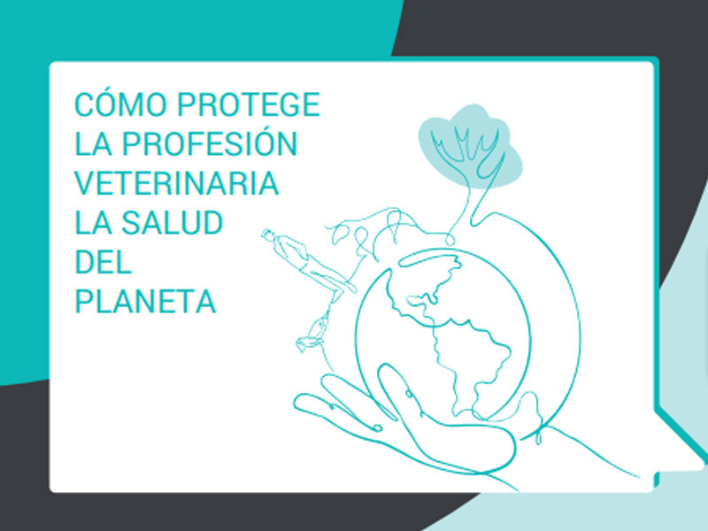 Zaragoza acogerá la jornada Cómo protege la profesión veterinaria la