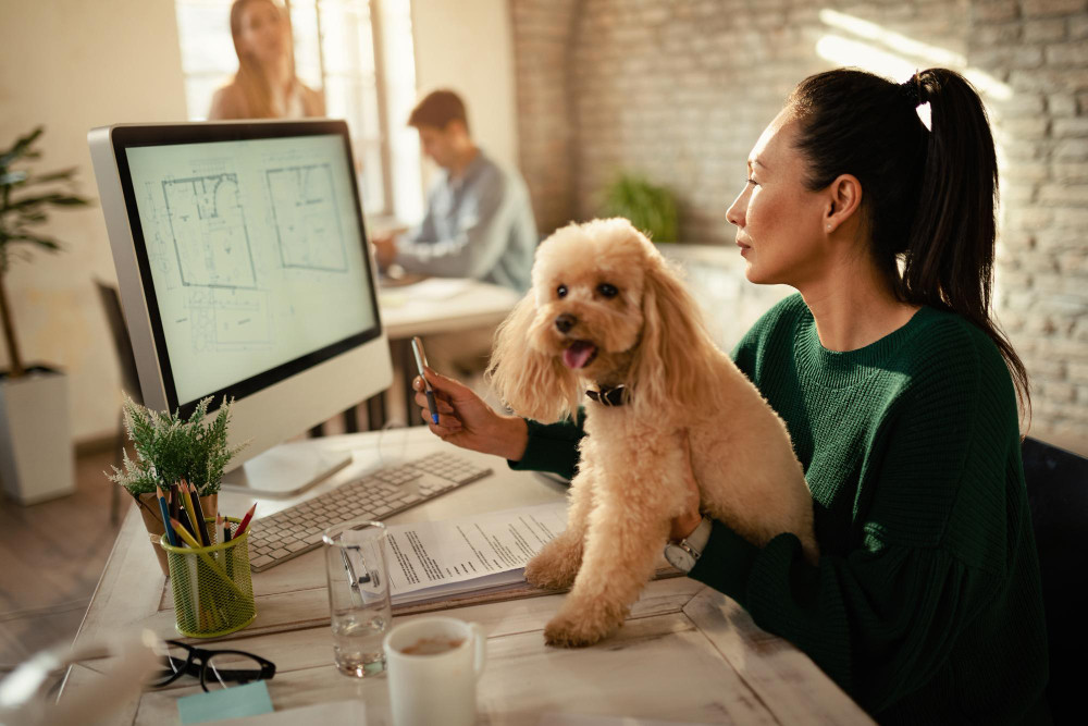 Dog friendly companies are a trend in Spain and it is possible to attract more talent