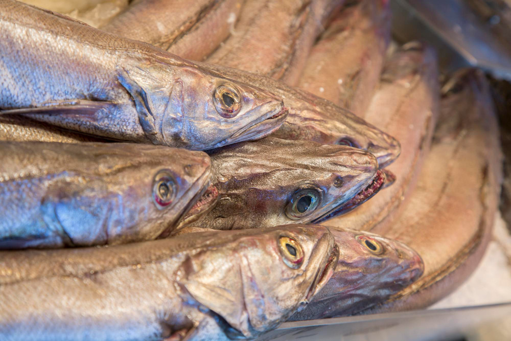 Novo estudo espanhol que analisa a população de anisakis na pescada do Atlântico