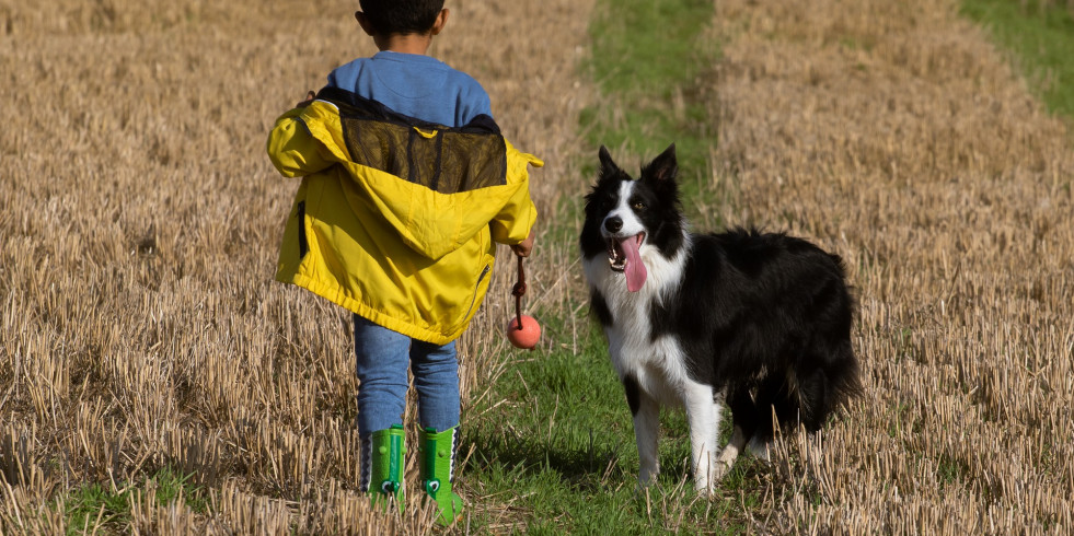 Los niños perciben a su perro como una de sus principales fuentes de apoyo