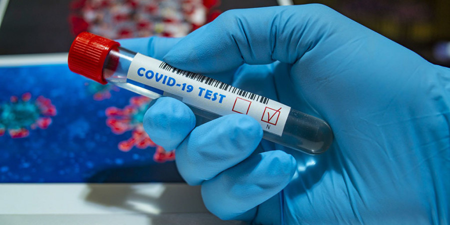 coronavirus veterinario veterinaria