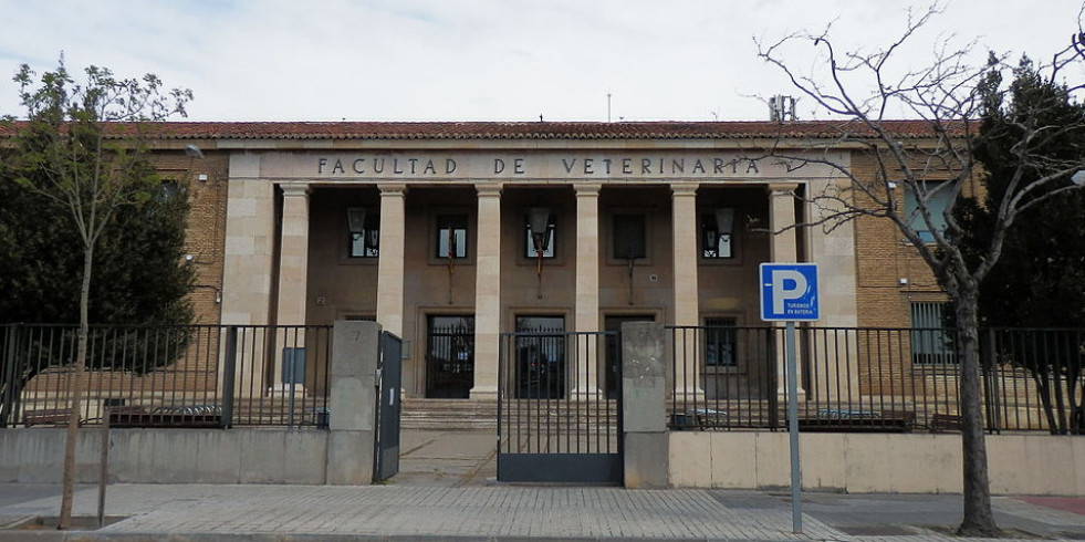 Conoce la primera nota de corte para estudiar Veterinaria en Zaragoza