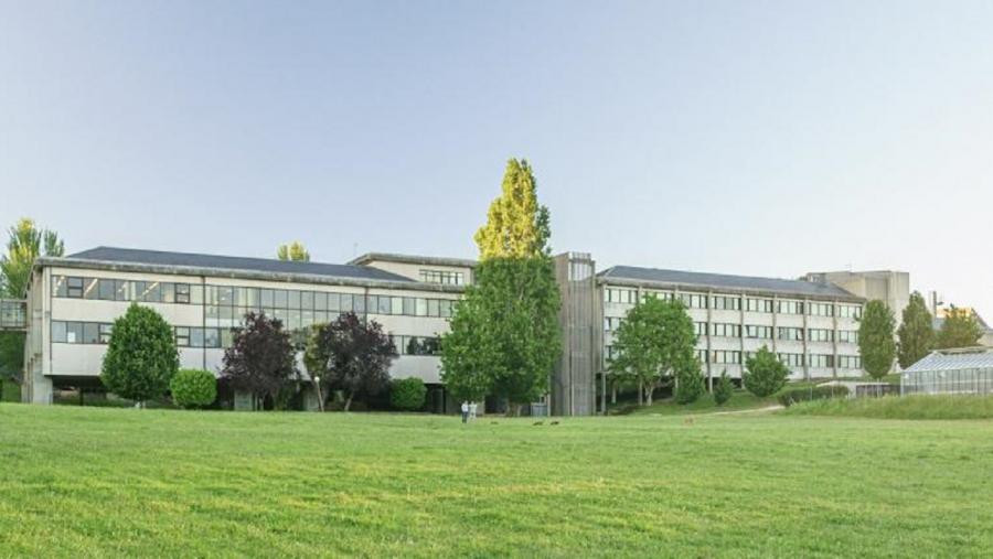 Facultad veterinaria lugo