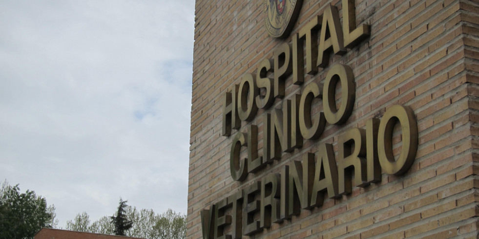 Cierran la unidad de pequeños animales del Hospital Veterinario Complutense ante la falta de personal