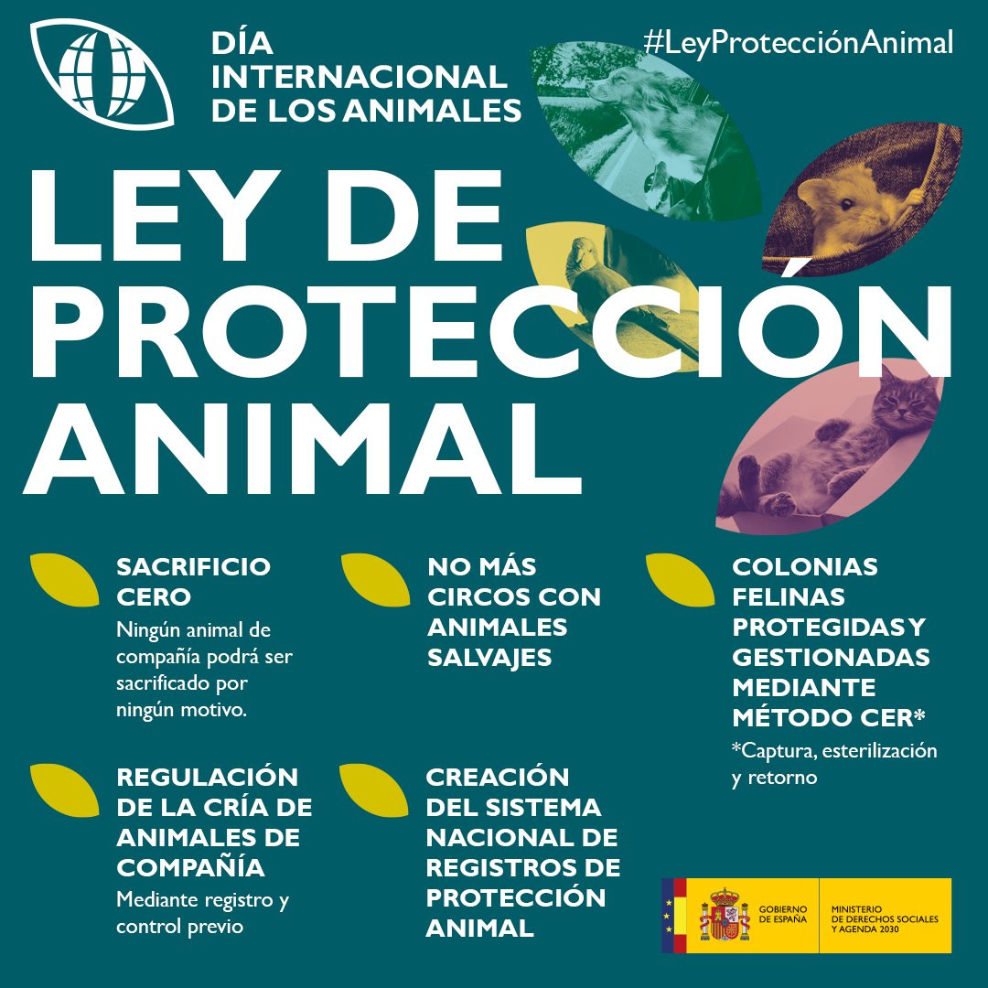 Presentan oficialmente la nueva Ley de Bienestar Animal