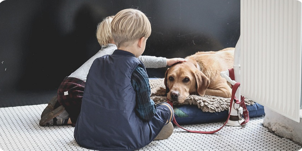 Consejos prácticos ante la llegada de un bebé a un hogar con perro