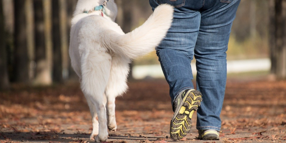 Los perros podrían prevenir las conductas suicidas en personas con autismo