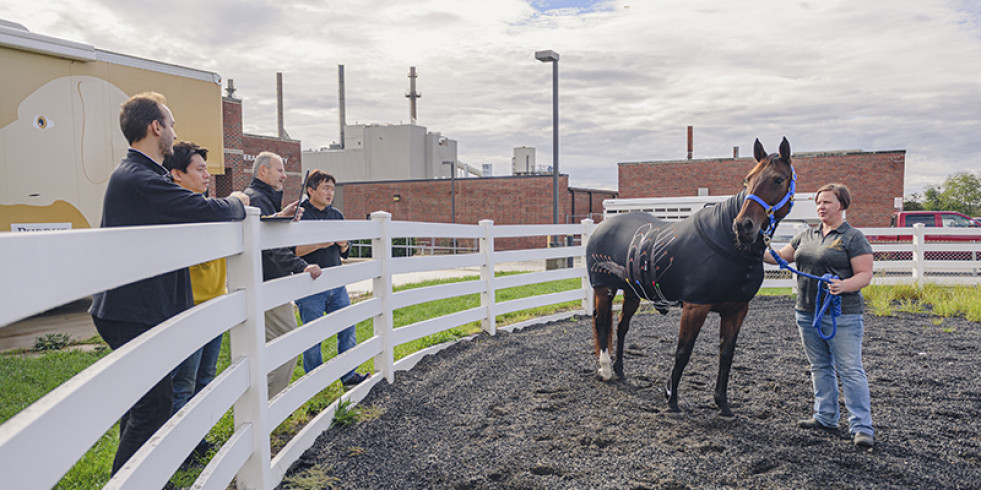 Una prenda inteligente para detectar enfermedades en caballos