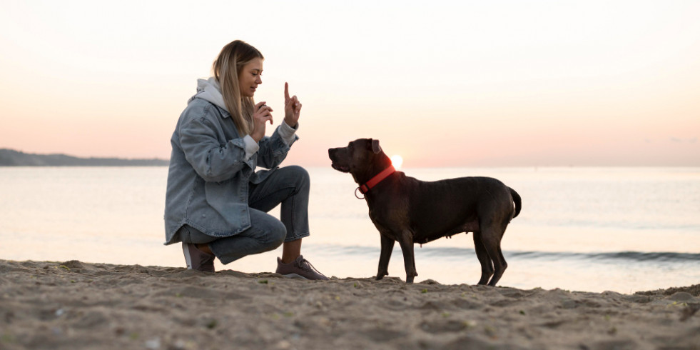 Un estudio revela que los perros diferencian las vocalizaciones humanas