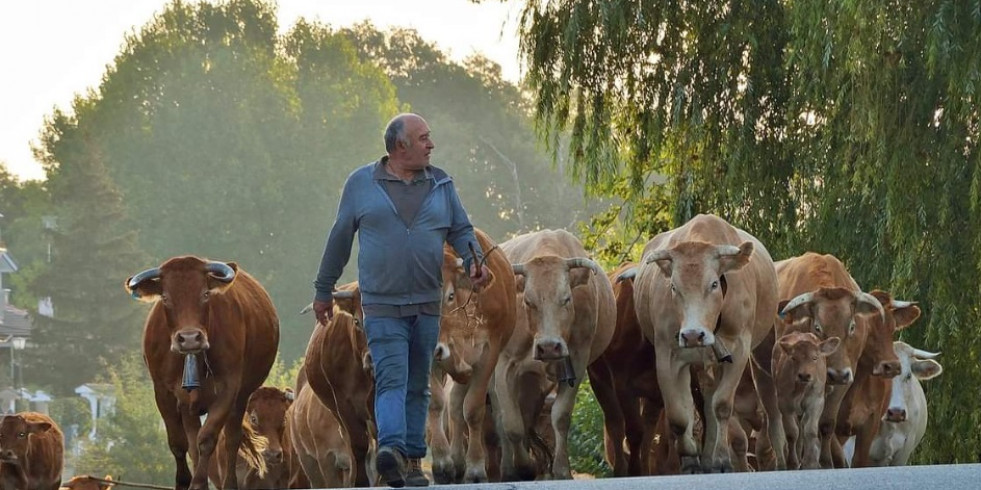 Publican el decálogo Compromiso Bienestar Animal Europeo