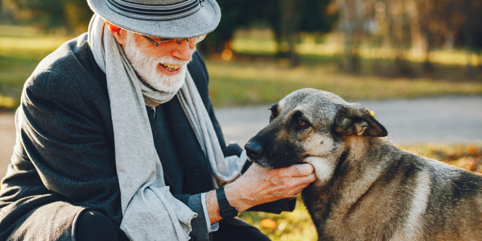 Novedosa técnica probada en perros puede ser la cura contra el Alzheimer