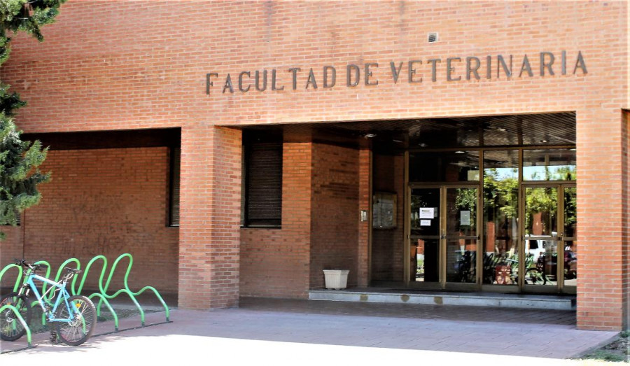 Facultad veterinaria león