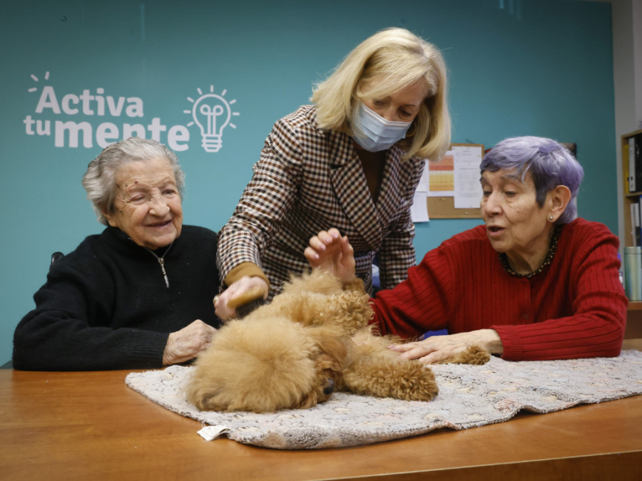 Terapia animales mayores