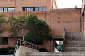 Facultad veterinaria murcia