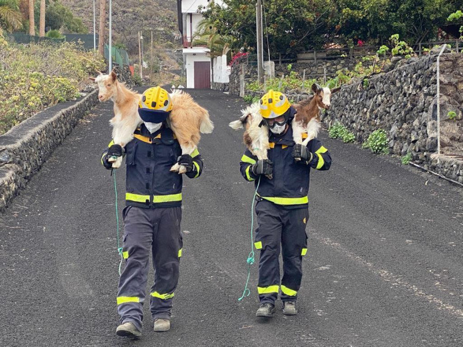 Bomberos gran canaria