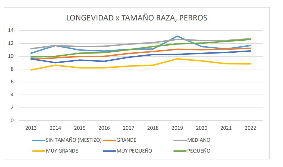 Grafico 3