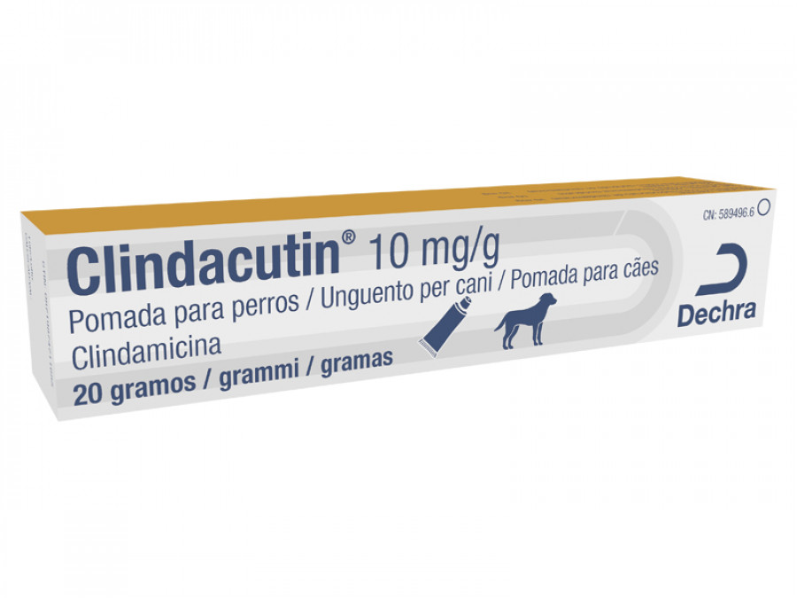 Clindacutin dechra