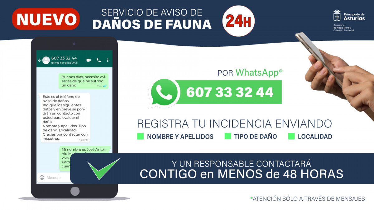 2023 07 25 Infografia nuevo servicio notificaciu00f3n dau00f1os