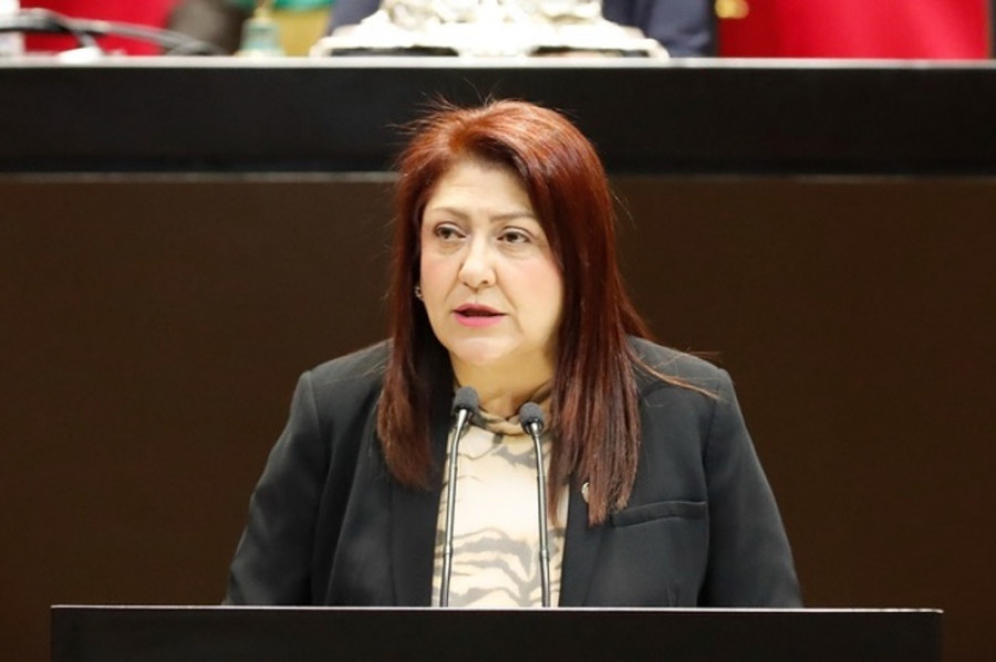 Ana Laura Huerta, diputada del Partido Verde Ecologista de México