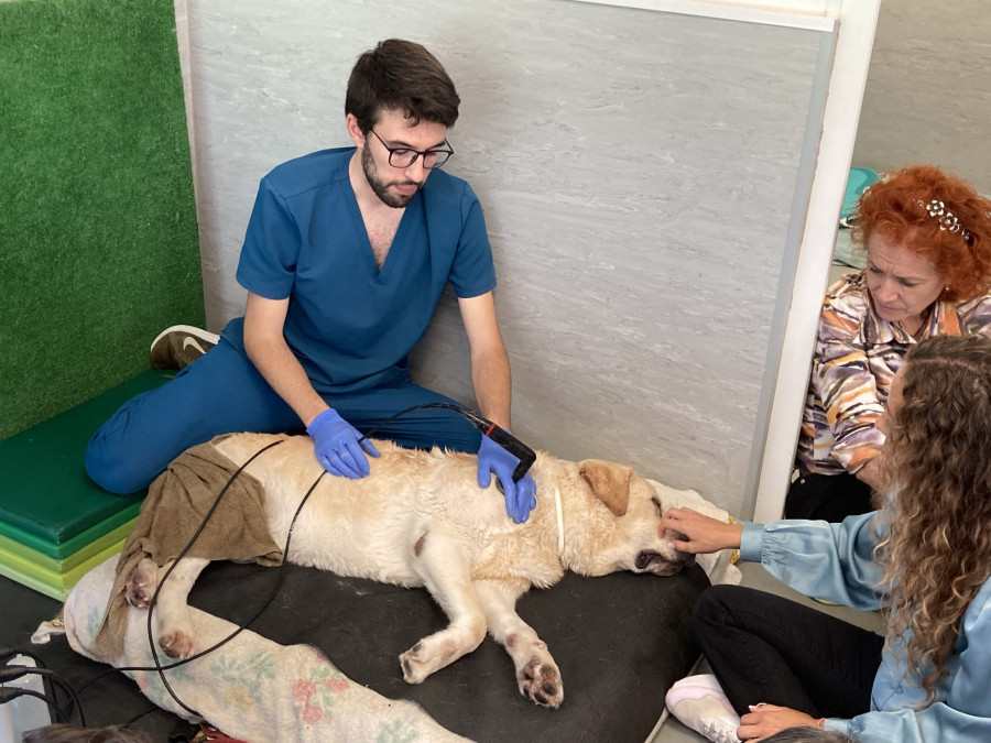 Más de 120 veterinarios de España y Portugal participan en la formación 360o en ortopedia y traumato