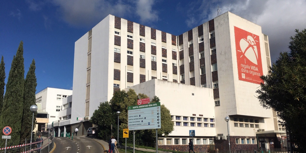 Más de 150 pacientes pediátricos del Hospital Reina Sofía se benefician de la terapia canina