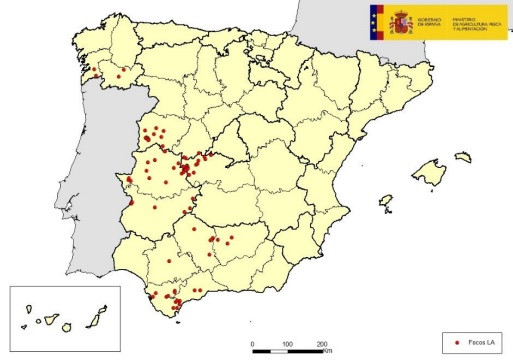 Mapa espau00f1a lengua azul