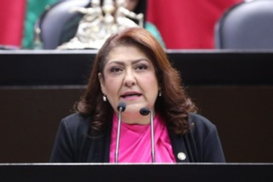 Diputada Ana Laura Huerta Valdovinos