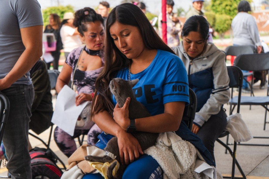 Jornada esterilización Chimalhuacán