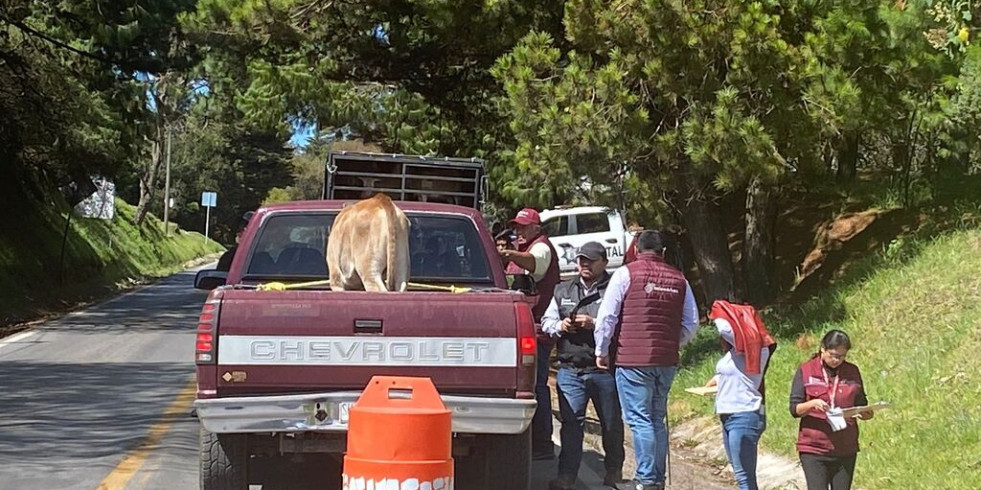 Puebla fortalece la vigilancia y supervisión en sanidad animal alrededor del estado