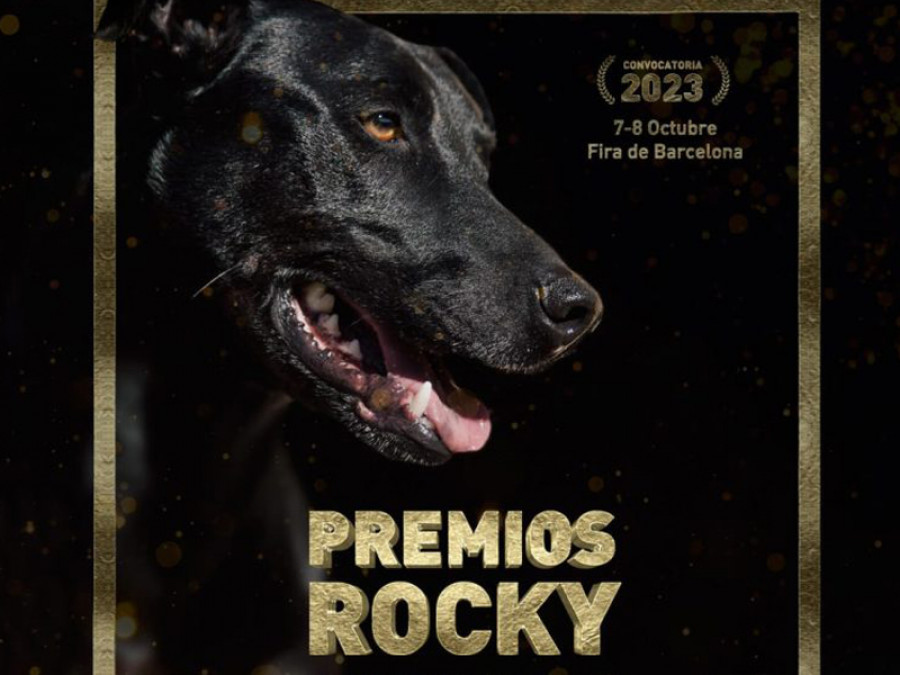 Premios rocky