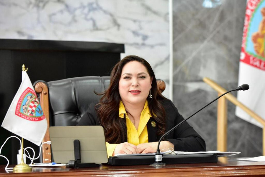 Diputada Georgina Zapata Lucero