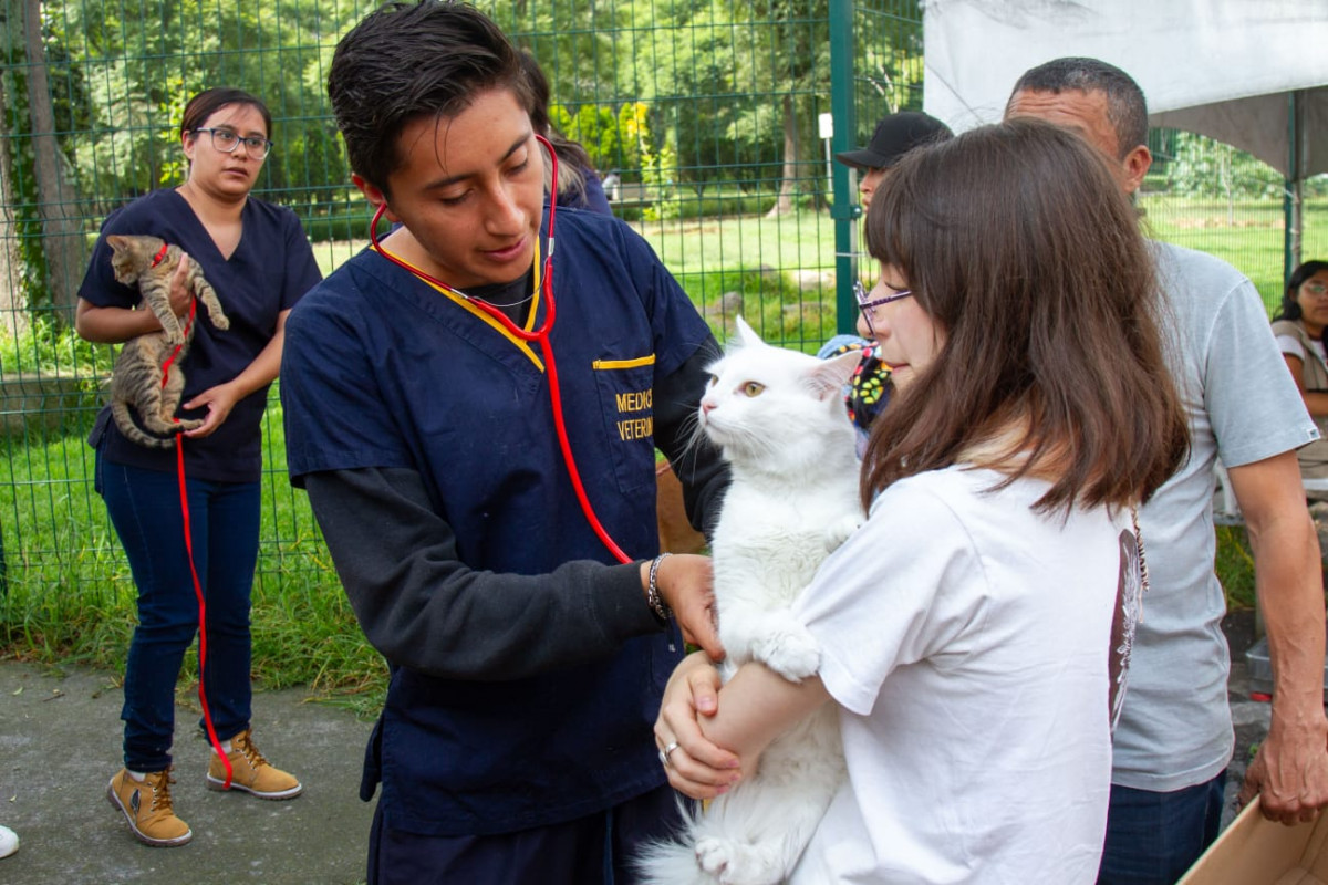 II Jornada de Esterilización Masiva CDMX