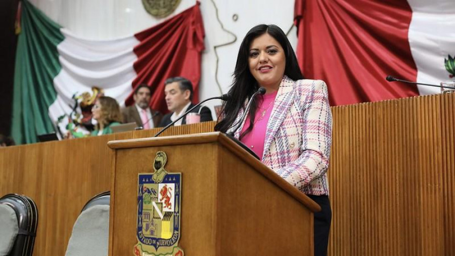 Diputada Itzel Castillo