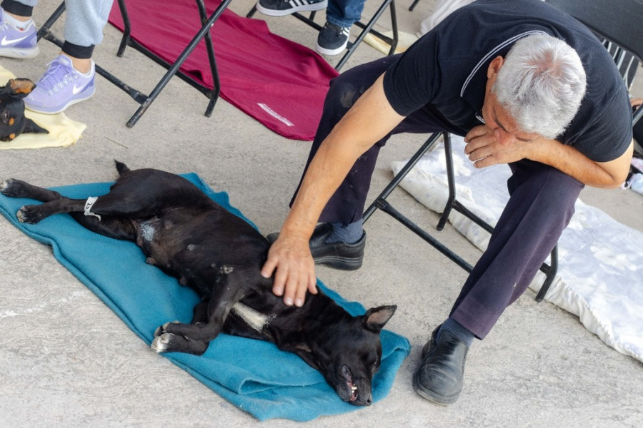 Esterilización Chimalhuacán