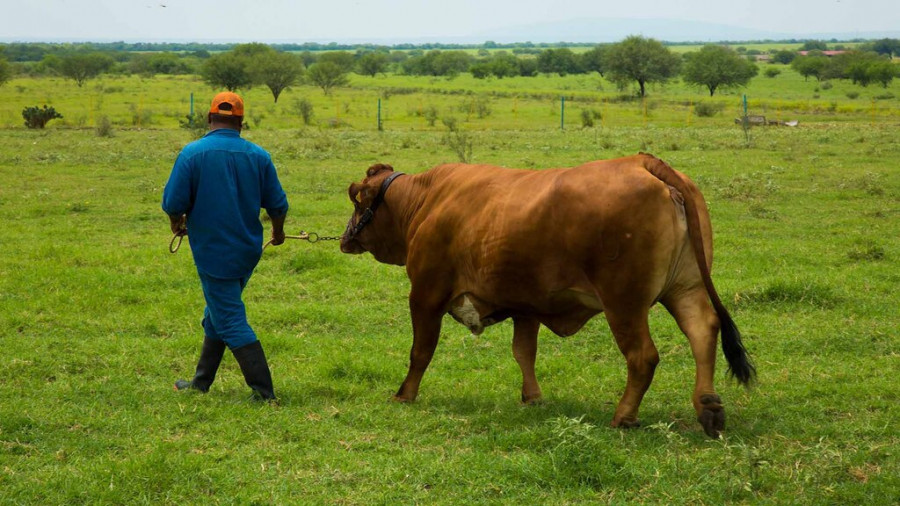 UANL agropecuaria