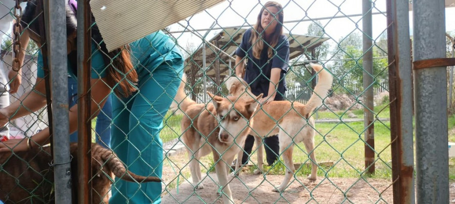 Bienestar animal Tlaxcala