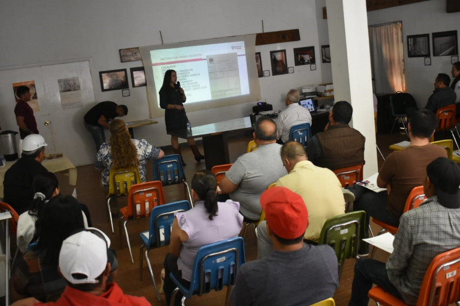 Formación veterinarios juárez