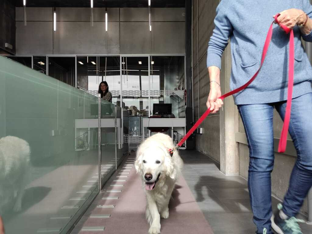 AniCura Vetsia Hospital Veterinario