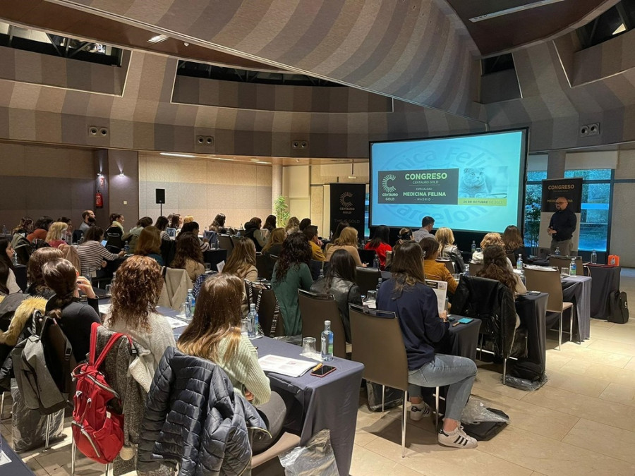 Congreso centauro medicina felina