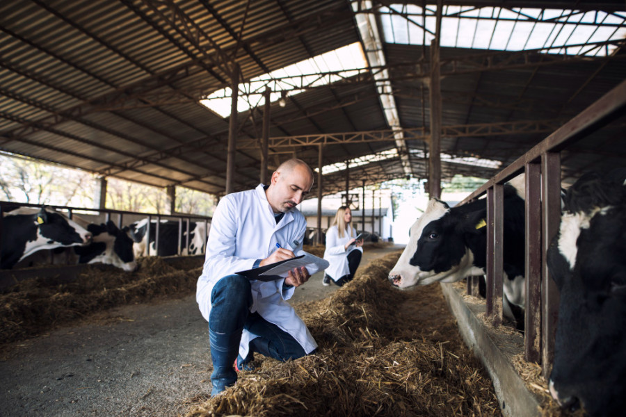 Vacantes veterinaria granja