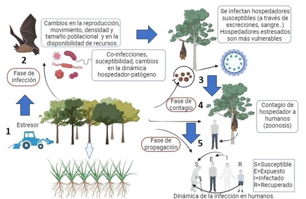 Patogenos usos del suelo y One Health LANDINM