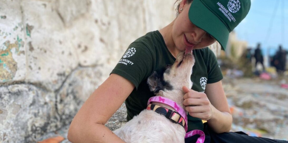 Veterinaria mexicana colabora en el rescate de gatos destinados al comercio de carne en Vietnam