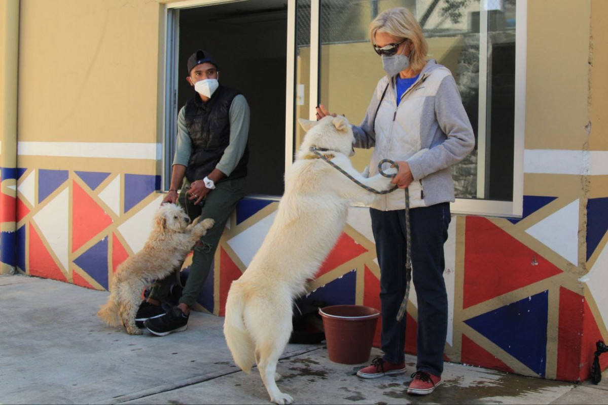 Taller de Rehabilitación de Perros con Miedo a Pirotecnia