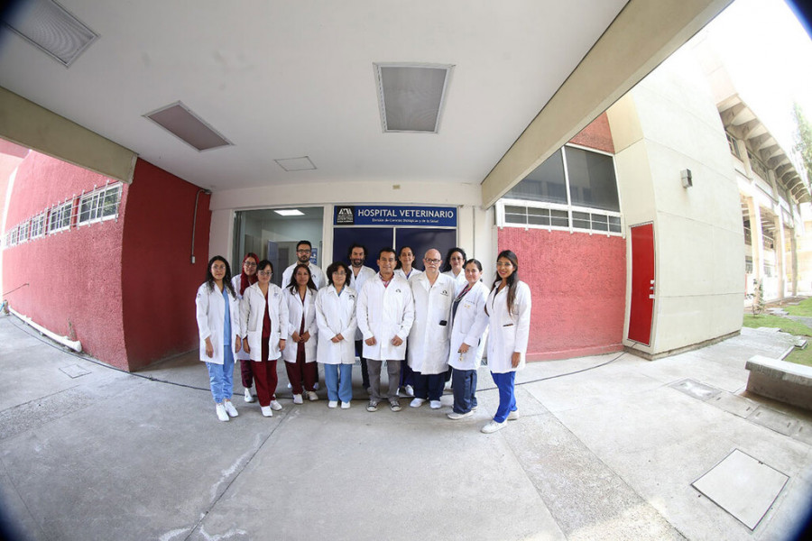 Hospital de Enseñanza Veterinaria UAM