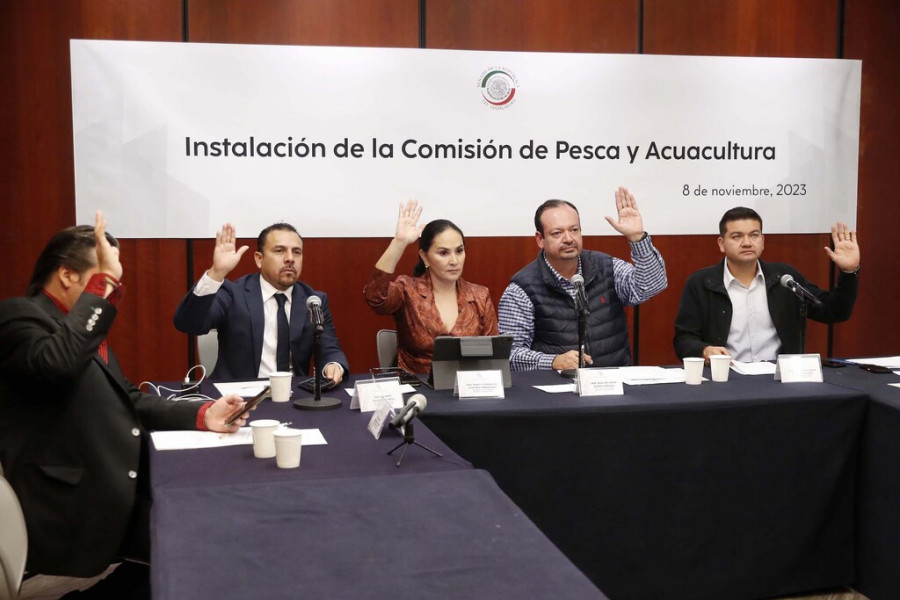 Comisión de Pesca y Acuacultura