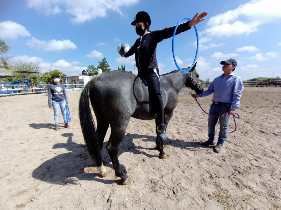 Terapia ecuestre