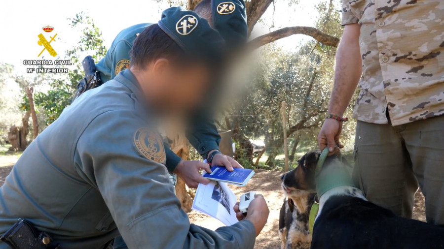 Guardia civil perros