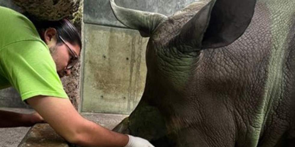 Un estudiante de Veterinaria cuenta su experiencia en el zoológico de Guadalajara