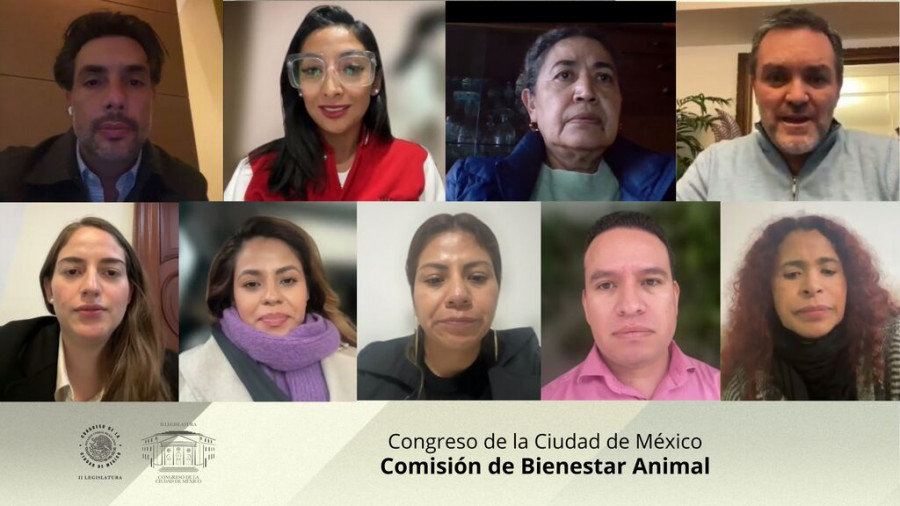 Comisión de Bienestar Animal del Congreso de la CDMX.